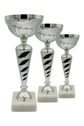 CTS 091 | SET de 3 Cupe Sportive - TrophyShop